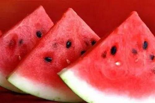 吃瓜网官网免费观看 吃瓜网官网,免费观看，畅享娱乐盛宴