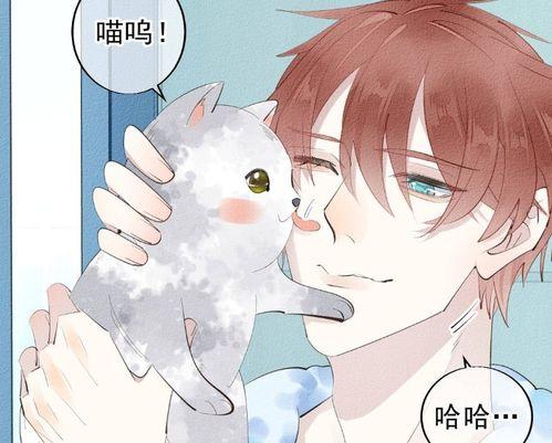 流浪猫变成人形版视频,流浪猫的奇幻变身之旅