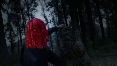 成人徒手打野兽视频,惊心动魄的生存挑战瞬间