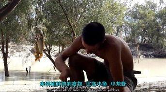 成人徒手打野兽视频,惊心动魄的生存挑战瞬间